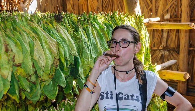 Try an authentic Cuban cigar