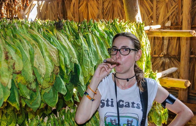 Viñales Tobacco Tour - Photo 5