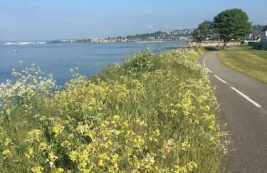 Agréable maison meublée - Foto 2