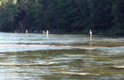 Amazing Cottage with Fire Pit and Fishing in Wellston, Michigan - Foto 20