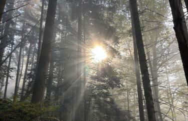 Le Jardin Secret - Foto 18