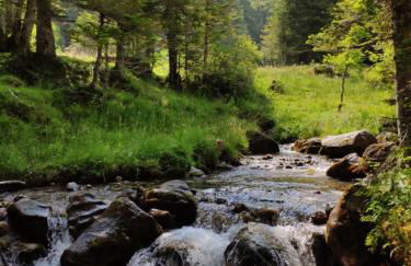 l'Armazan - studio pieds de piste Plat d'Adet - Photo 18