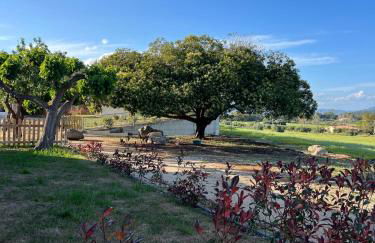 La Collina: L’alba - Foto 13