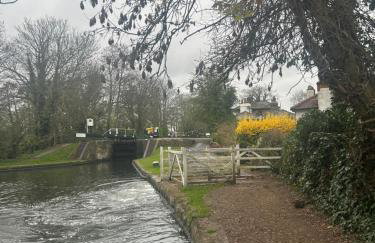 Stylish Home With Full Amenities - Photo 26