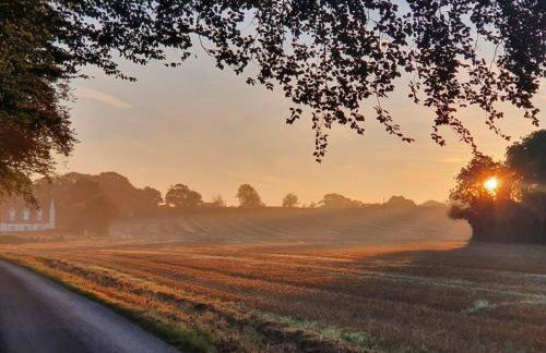 Nature Charm & Fruit Delights, multi-generation celebratory home -Try, Relax, Repeat - Sellindge - Foto 17