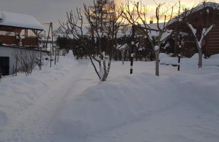 Staś -przy szkole nr 3 w Skawie - Foto 14