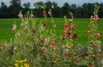 Domek w polu - Foto 24