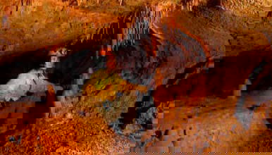 Suesca Hiking Tour - Foto 2