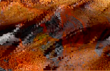 Suesca Hiking Tour - Foto 2