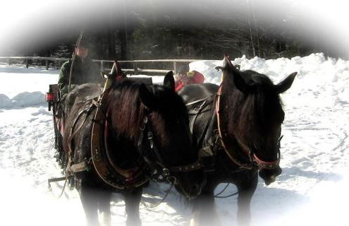 Agriturismo Prati Oitzinger - Foto 24