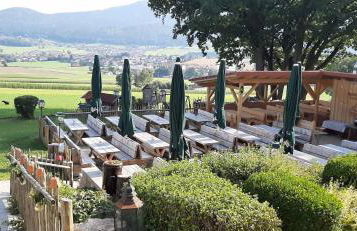 Gasthof Zum Wirt Ferienwohnung Hohenbogenblick - Foto 50