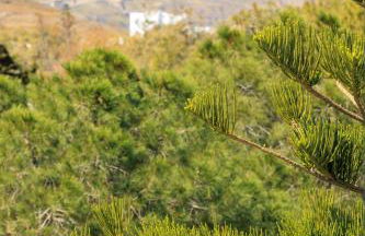 Aerno Home & Azul Ηοme - Ahilli Slow Living - Foto 53