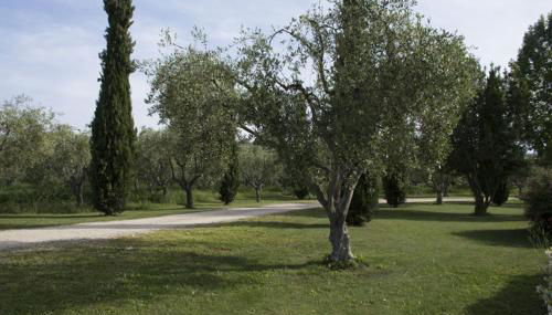 Agriturismo Scuderie della Contea - Foto 4
