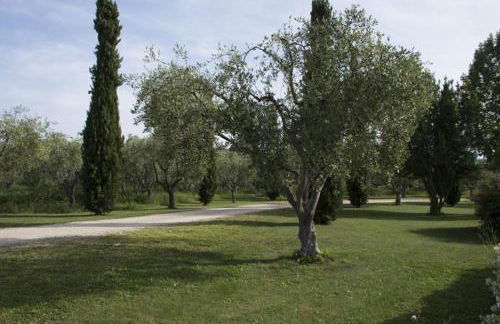Agriturismo Scuderie della Contea - Foto 4