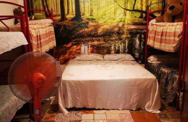 Pinnettu sardo casa di campagna in ecosistema insetti e animaletti simpatici in condivisione,Leggere attentamente Prima di prenotare - Foto 4