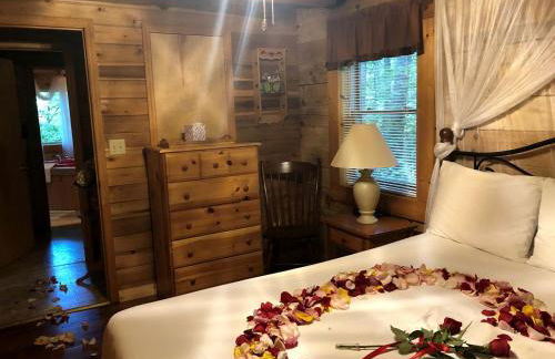 Rustic Cabin Rental in the Forest near Charleston, West Virginia - Foto 4