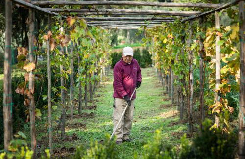 Boutique Wine Resort - Villa Dianella - Foto 40