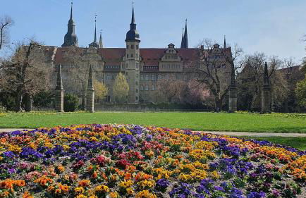 Kienreich Apartments Merseburg Weißenfelser Straße - Foto 37