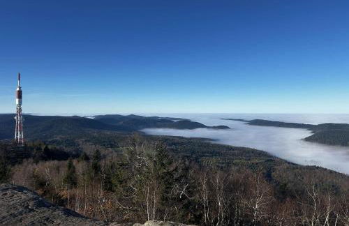 Cocon au cœur des Vosges - Foto 17