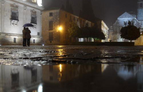 La Casa del Alfarero - Premio Andalucia de Artesania - Foto 69