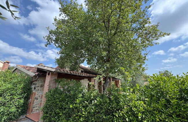 Locanda Fontelupa - Foto 27