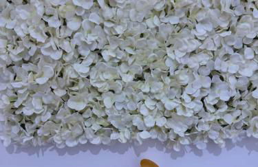 Adeluxe Home - Luxury 2 Bedroom Entire House with Free WiFi, Disney, Netflix and Amazon Prime Included - Foto 44