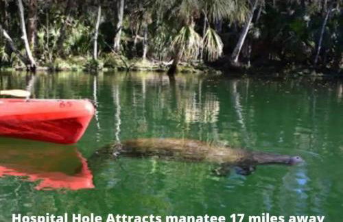 Beautiful & Cozy Home on a Canal in Hudson, FL! - Foto 79