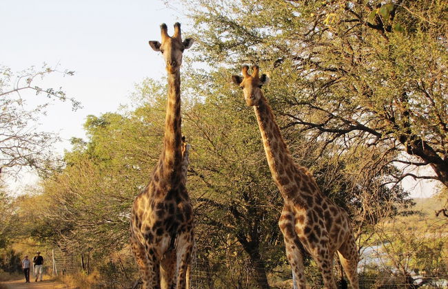 Umvangazi Rest - Enjoy a Relaxing, Rejuvenating and Peaceful Setting in the Bush - Foto 25