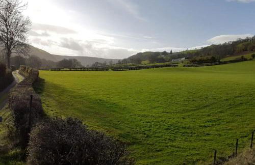 Y Llew Bach, the tiny house - Photo 12