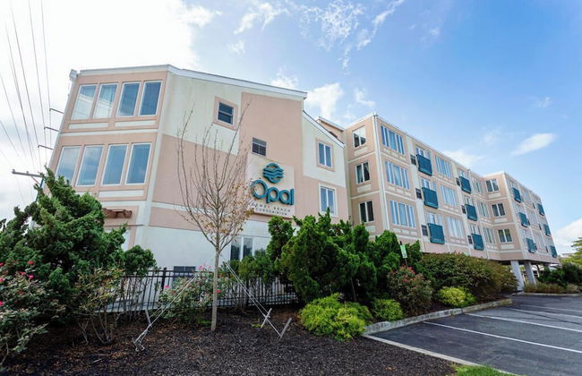 THE Opal S303 - Foto 1