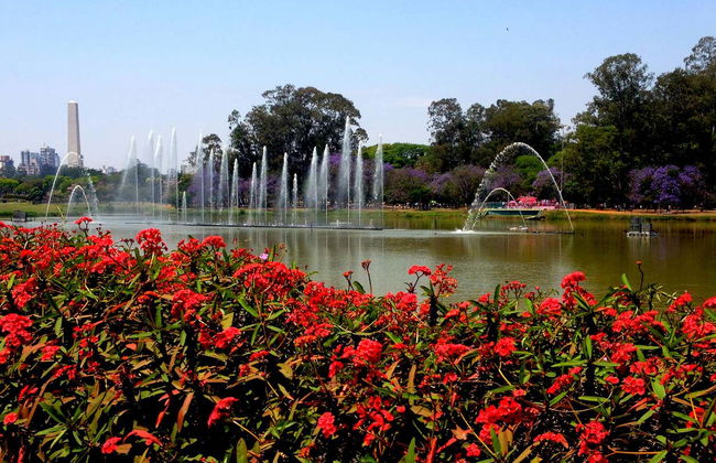 Excursión privada a São Paulo - Foto 4