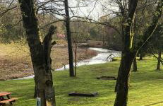 Collier Cabin on Collier Creek - Foto 59