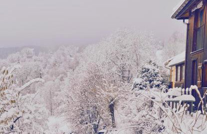 Home - Retour aux sources - Foto 18