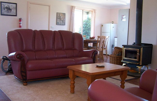 High Country Trail Rides & Farm Stay - Foto 6