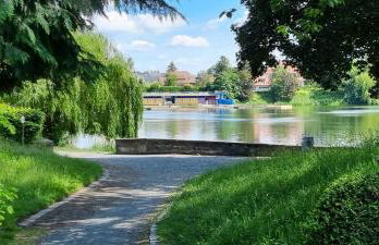 Ferienwohnung zum Hirschen - Foto 17