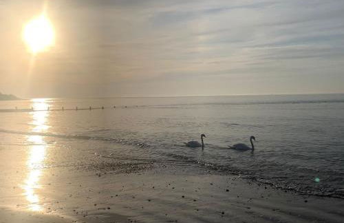 Fort View- Totland - Photo 24