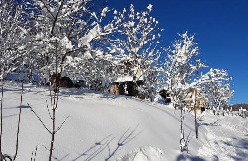 Casa Vacanze Le Primule - Foto 15