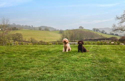 5 Bed in Tiverton oc-48151 - Foto 43