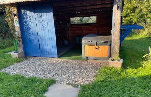 Pembrokeshire Shepherd hut with hottub - Foto 4