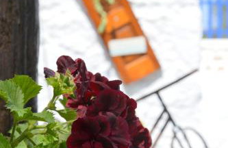 Gemilos Nook - Foto 14