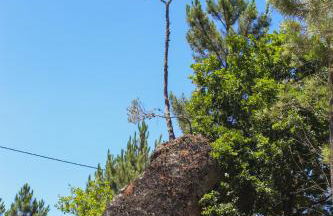 Quinta das Regueiras - Foto 47
