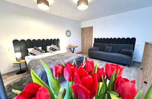 Karkonoskie Widoki Apartamenty - Foto 20