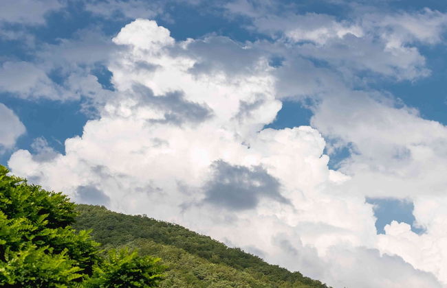 More Apartments na Estonskoy 37 k2 49 - Foto 19