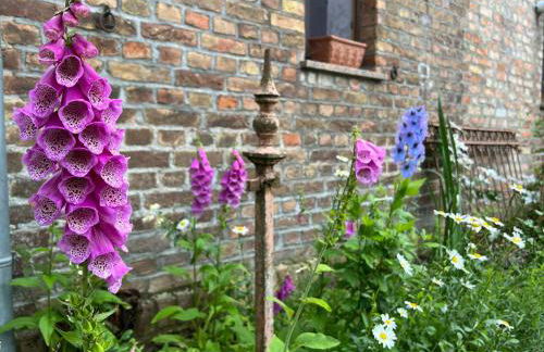 Ferienhof Schmetterlingsgarten - Foto 15