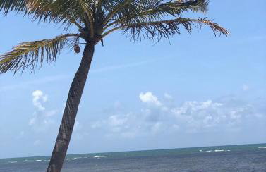 Loft de praia - Itacimirim BAHIA - Foto 37