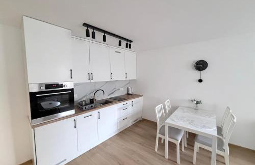 Piast Castle Apartment Brzeg - Photo 1