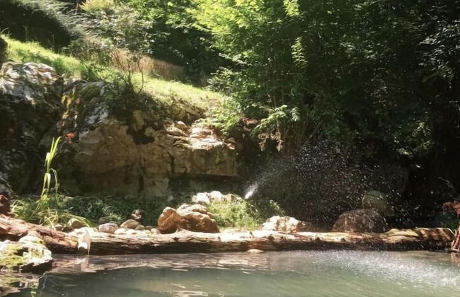 Bosque de Cuevas - Foto 14