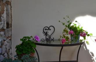 Sous les chênes - Photo 4