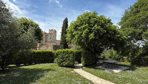 DREAM HOUSE in front of CHATEAU DE BEYNAC in Perigord , Dordogne - Foto 3