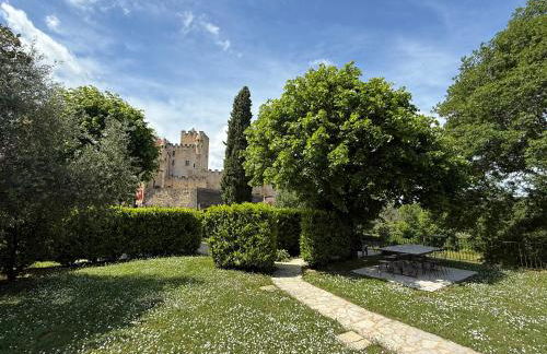 DREAM HOUSE in front of CHATEAU DE BEYNAC in Perigord , Dordogne - Foto 3